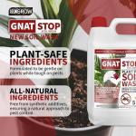 Gnat Stop Cleanse - Say Goodbye to Gnats!