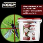 Gnat Stop Max Pro - 2L Eco-Safe Gnat Solution