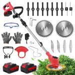 21V Cordless Grass Trimmer and Edger with Batteries