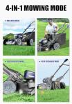 Wild Badger Power 40V Self-Propelled Cordless Mower