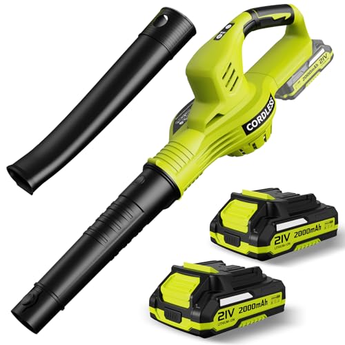 21V Cordless Electric Leaf Blower with 2 Batteries
