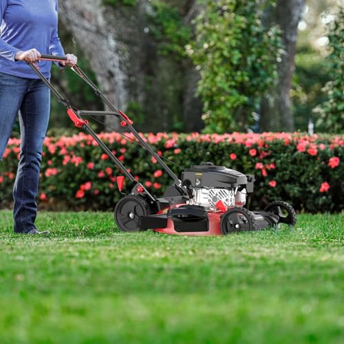 PowerSmart Gas Lawn Mower 21in. 144cc 2-in-1