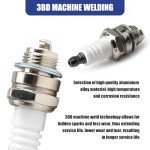 2-Pack Spark Plugs for Champion & NGK Engines