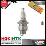 NGK Spark Plug for SIMPLICITY Lawn Mowers