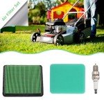 Honda Lawn Mower Air Filter and Spark Plug Set