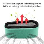 Air Filter and Spark Plug for Lawn Mowers
