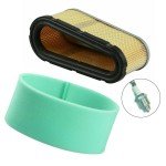 Briggs & Stratton Air Filter and Spark Plug Set