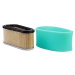Briggs & Stratton Air Filter and Spark Plug Set