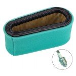 Briggs & Stratton Air Filter and Spark Plug Set