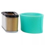 Briggs & Stratton Air Filter and Spark Plug Set