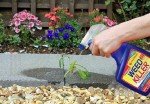 PestShield Advanced Weed Killer Spray, 500ml