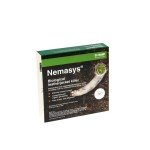 Pet-Friendly Nematodes for Lawn Care (100 sq.m)