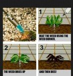 Weed Burner Blowtorch for Garden Use