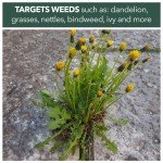5L Industrial Fast Acting Weed Killer with Hose