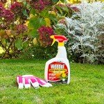 Weedol Rapid Weedkiller, 1L Ready-to-Use