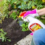 Weedol Rapid Weedkiller, 1L Ready-to-Use