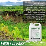 Elixir Gardens 4L Glyphosate Weed Killer Spray