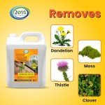 JOVS Ready-to-Use 5L Fast-Acting Weed Killer