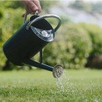 Resolva 500 ml Lawn Weedkiller Concentrate