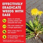 Doff Advanced Weedkiller - 6 Sachets for Gardens
