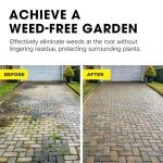 Doff Advanced Weedkiller - 10 Sachets for Gardens