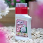 FungusClear® Ultima 2 Lawn Care Solution 210ml