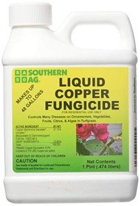 Liquid Copper Fungicide - 16oz Bottle