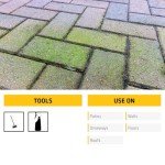 Everbuild 404 Fungicidal Wash - 5 Litres