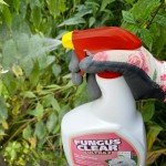 FungusClear Ultra 800 ml – Ready to Use