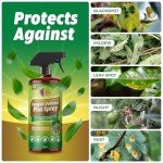 Organic Fungus Defense Spray for Plants - 200ml