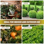Organic Fungus Defense Spray for Plants - 200ml