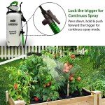 ANSIO® 8L Pressure Pump Garden Sprayer