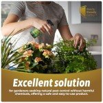 Organic Fungus Defense Spray for Plants - 200ml