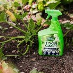 Westland Fungus Guard 800ml - Non-Toxic Fungicide Spray