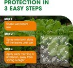 Bug & Fungus Control Spray - Dual Action 1L