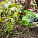 Westland Fungus Guard 800ml - Non-Toxic Fungicide Spray