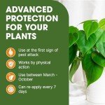 Bug & Fungus Control Spray - Dual Action 1L