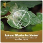 Organic Fungus Defense Spray for Plants - 200ml