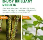Bug & Fungus Control Spray - Dual Action 1L