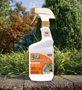 Bonide Captain Jack's 16 oz Copper Fungicide