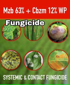 Systemic Contact Fungicide for Leaf Spot & Rust