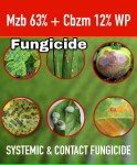 Systemic Contact Fungicide for Leaf Spot & Rust