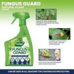 Westland Fungus Guard 800ml - Non-Toxic Fungicide Spray