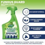 Westland Fungus Guard 800ml - Non-Toxic Fungicide Spray
