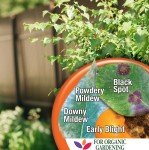 Bonide Captain Jack's Copper Fungicide - 473 ml