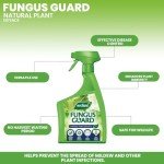 Westland Fungus Guard 800ml - Non-Toxic Fungicide Spray