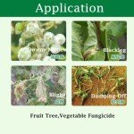 Systemic Contact Fungicide for Leaf Spot & Rust