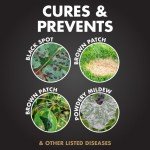 Systemic Contact Fungicide for Leaf Spot & Rust