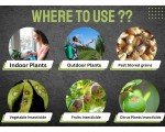 Systemic Contact Fungicide for Leaf Spot & Rust