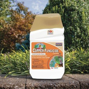 Bonide Captain Jack's Copper Fungicide - 473 ml